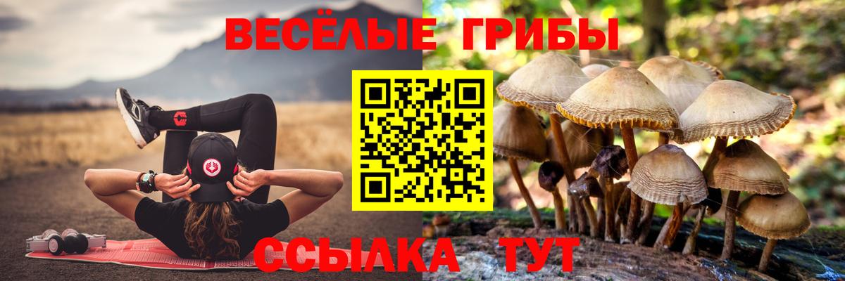 продажа наркотиков  Вход с VPN  Балаково  Псилоцибиновые грибы Cubensis 
