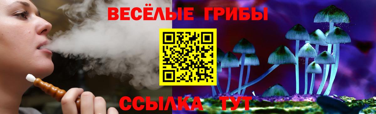 Галлюциногенные грибы Cubensis Балаково